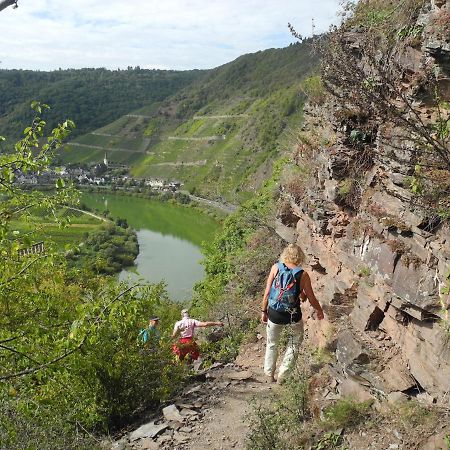Weingut Pension Hammes-Krueger Елленц-Польтерсдорф Екстер'єр фото