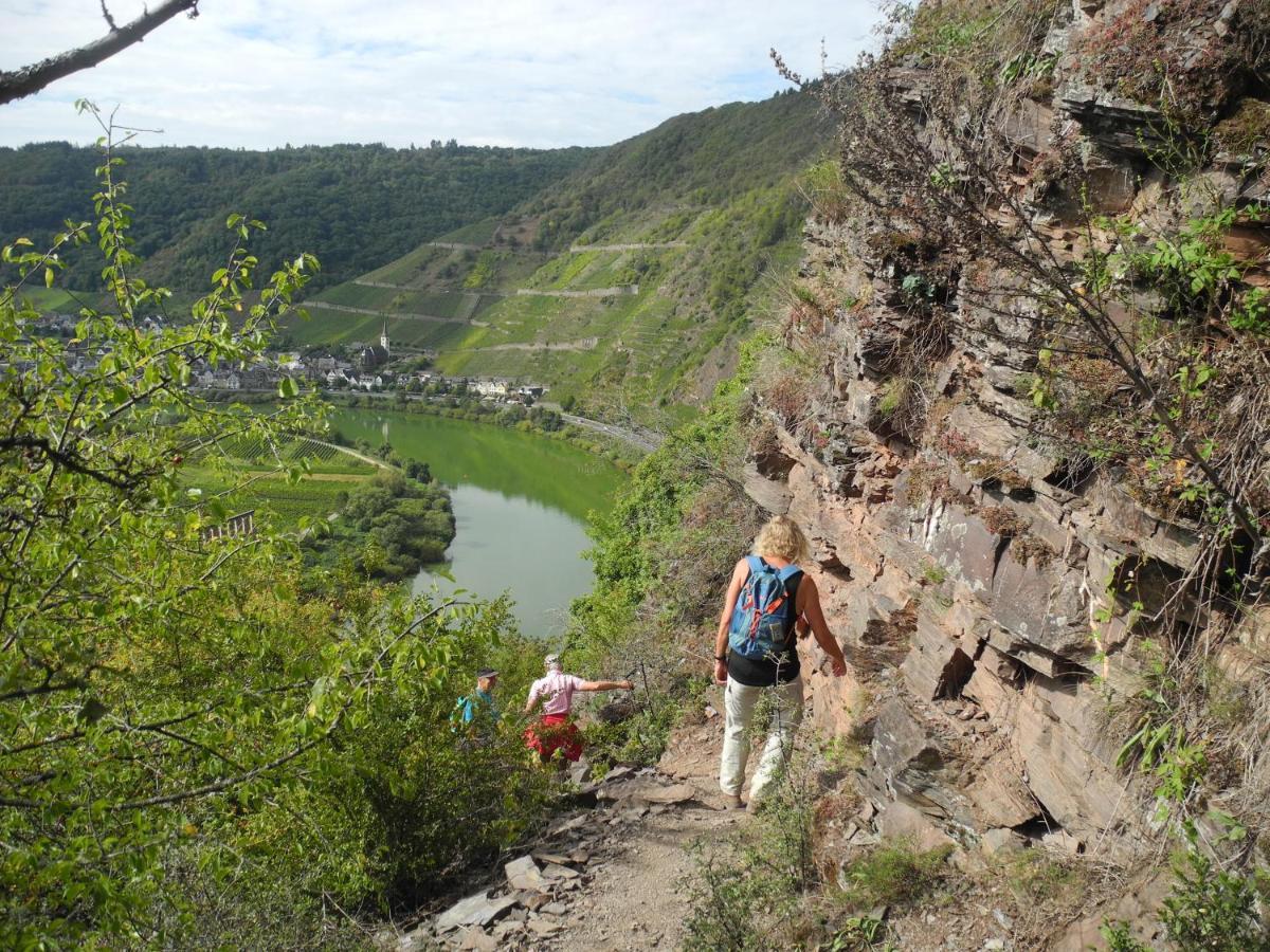 Weingut Pension Hammes-Krueger Елленц-Польтерсдорф Екстер'єр фото