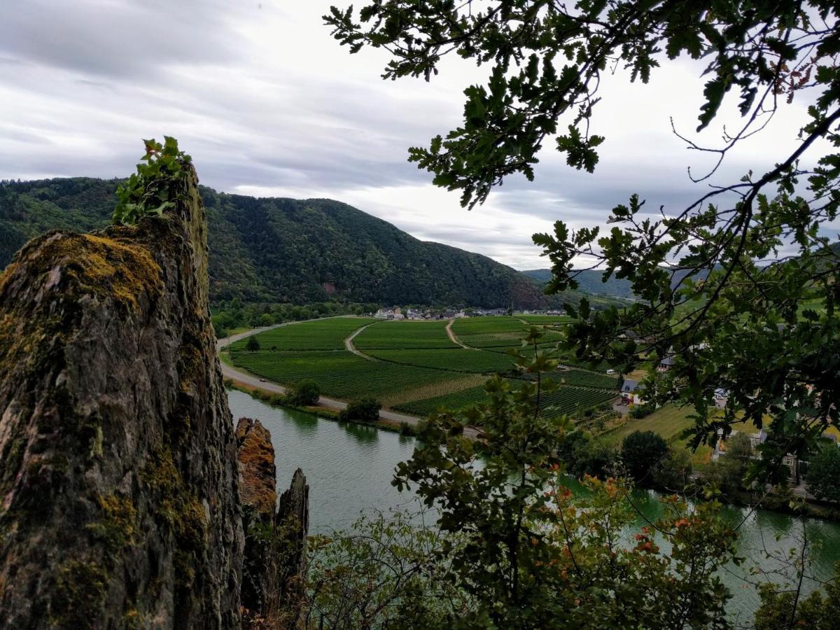 Weingut Pension Hammes-Krueger Елленц-Польтерсдорф Екстер'єр фото